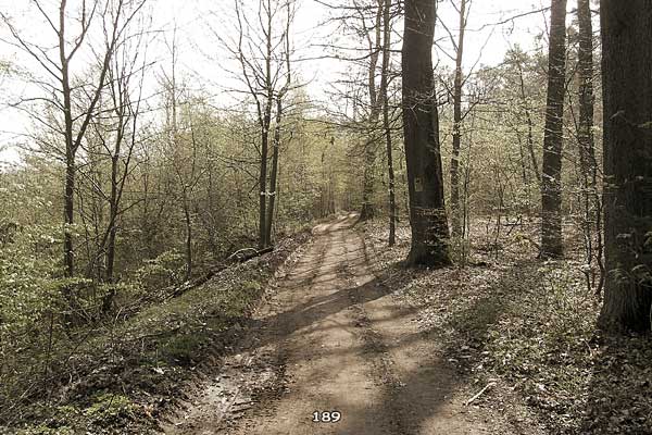 Bliestallabyrinth 189