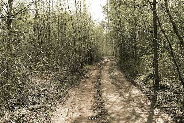 Bliestallabyrinth 190