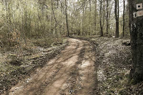 Bliestallabyrinth 191