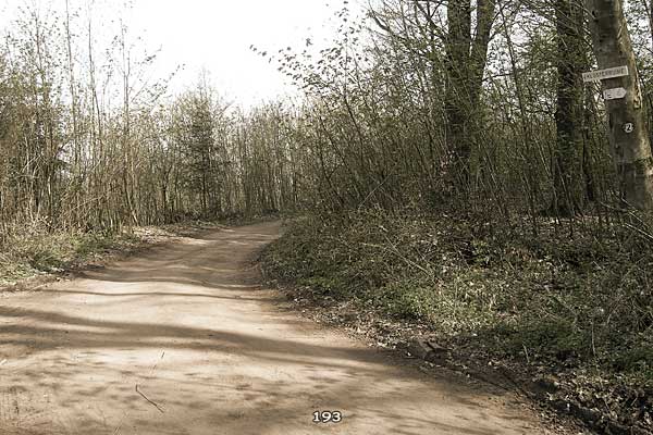 Bliestallabyrinth 193