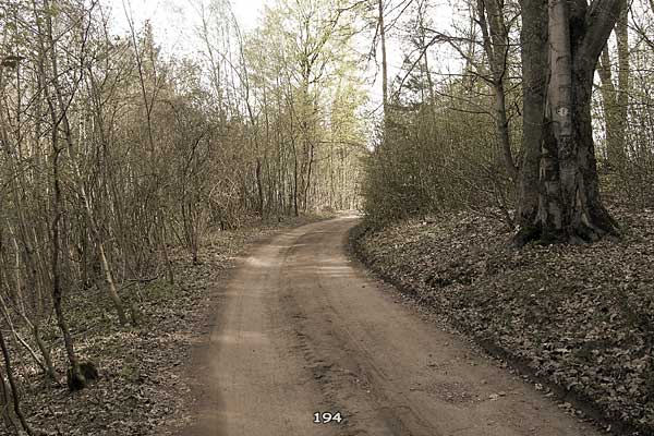 Bliestallabyrinth 194