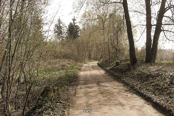 Bliestallabyrinth 195