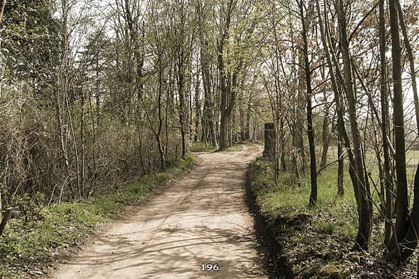 Bliestallabyrinth 196