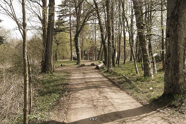 Bliestallabyrinth 197