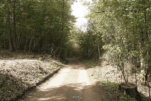 Bliestallabyrinth 203