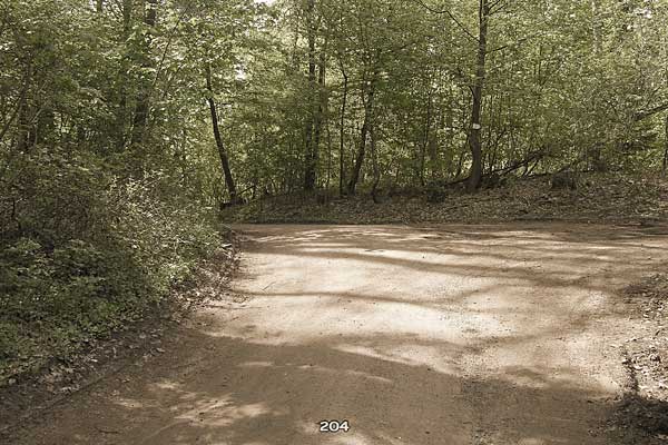 Bliestallabyrinth 204