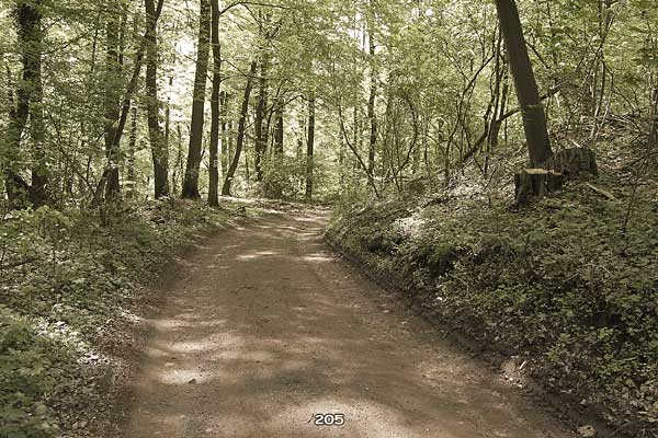 Bliestallabyrinth 205