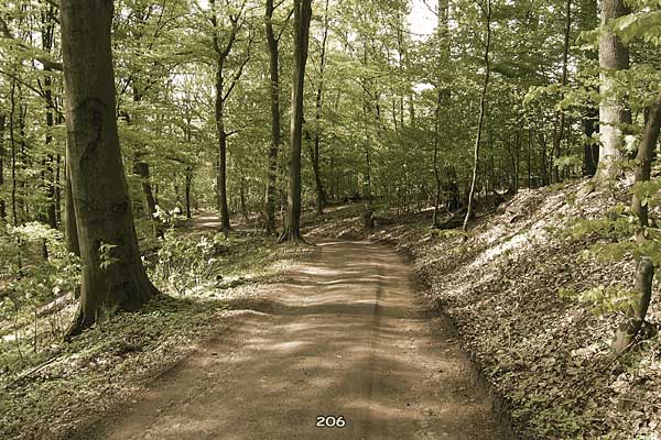 Bliestallabyrinth 206