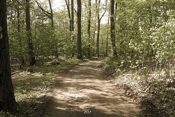 Bliestallabyrinth 207