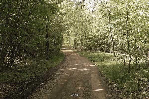 Bliestallabyrinth 208