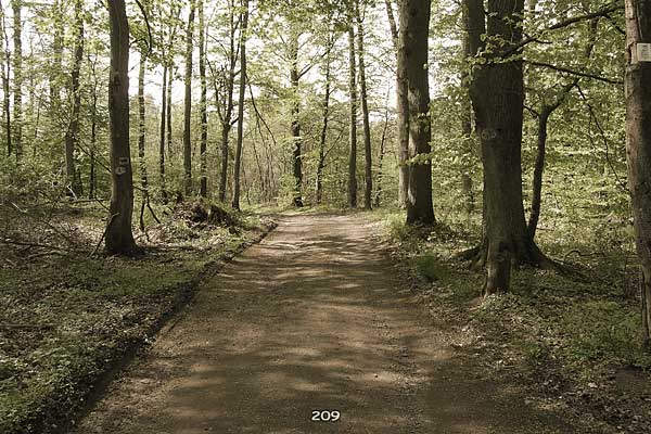 Bliestallabyrinth 209