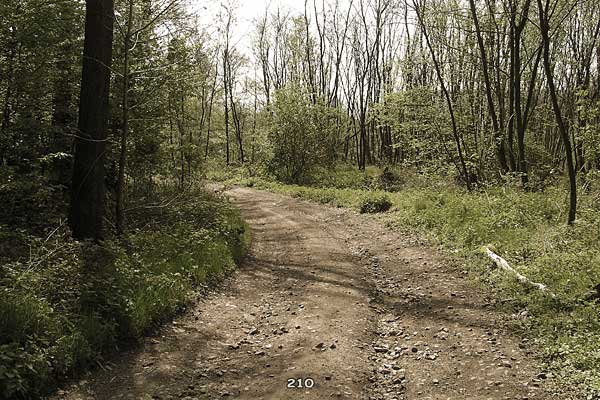 Bliestallabyrinth 210