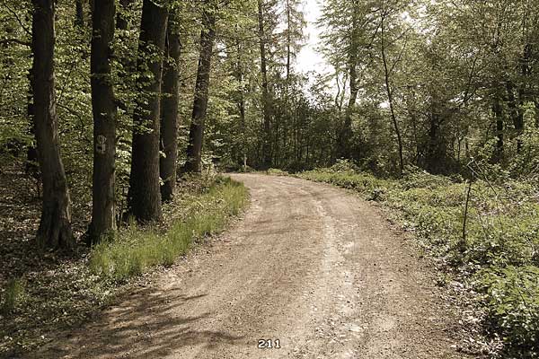 Bliestallabyrinth 211