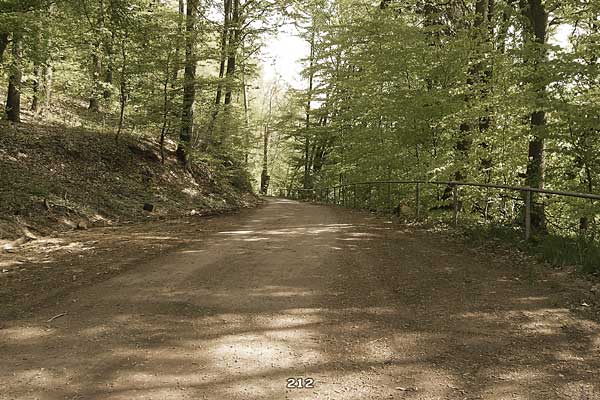 Bliestallabyrinth 212