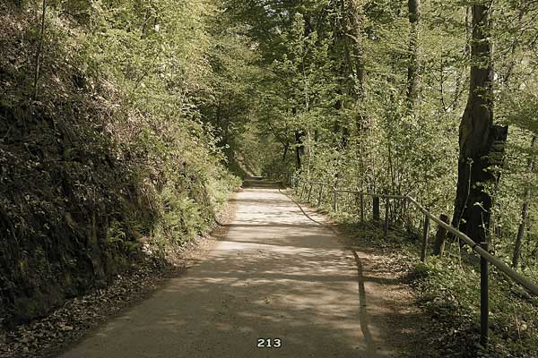 Bliestallabyrinth 213