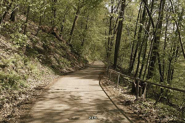 Bliestallabyrinth 215