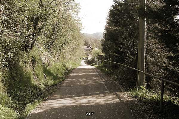 Bliestallabyrinth 217