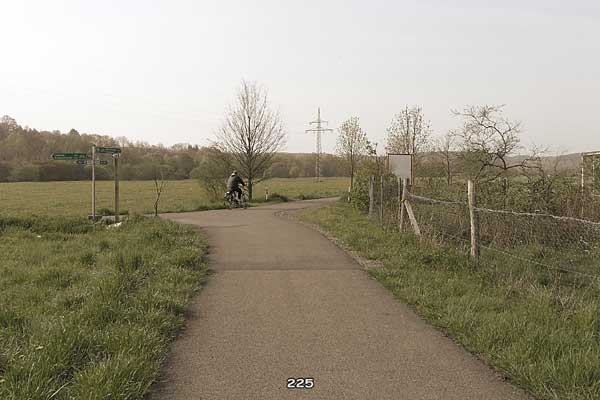 Bliestallabyrinth 225