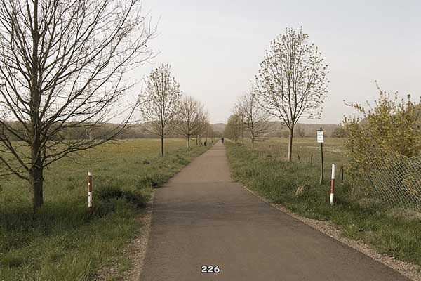 Bliestallabyrinth 226