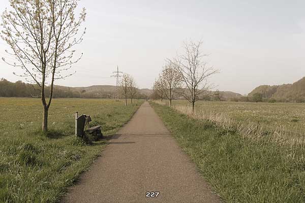 Bliestallabyrinth 227