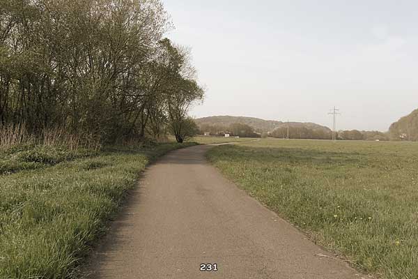 Bliestallabyrinth 231