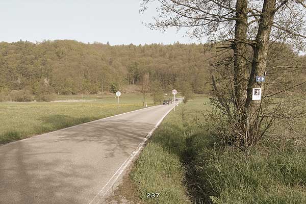 Bliestallabyrinth 237