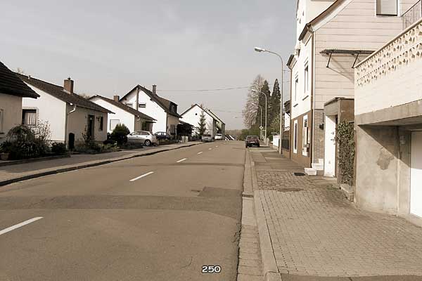 Bliestallabyrinth 250