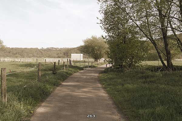 Bliestallabyrinth 263