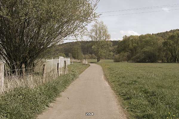 Bliestallabyrinth 264