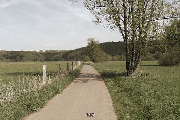 Bliestallabyrinth 265