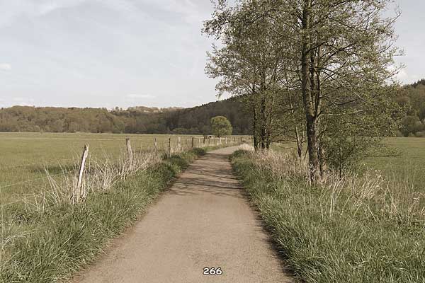 Bliestallabyrinth 266