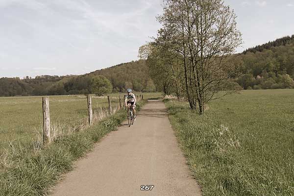 Bliestallabyrinth 267