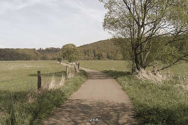 Bliestallabyrinth 268