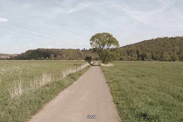 Bliestallabyrinth 269