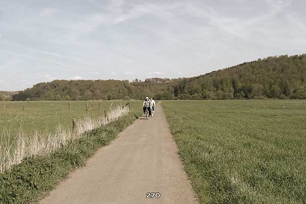 Bliestallabyrinth 270